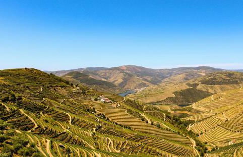 Refúgio Rústico - Exclusivo - Foto 26