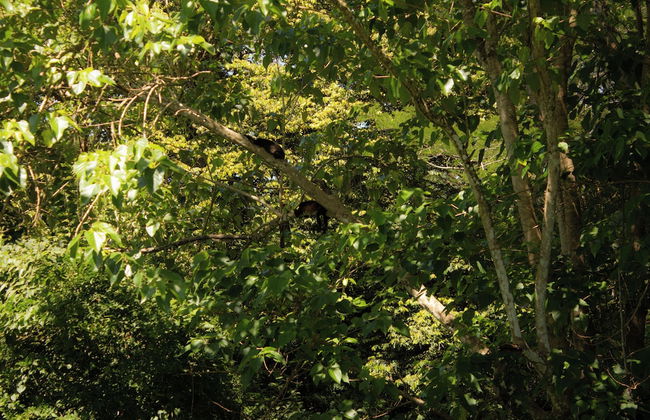 Chalet San Juanillo - Photo 12