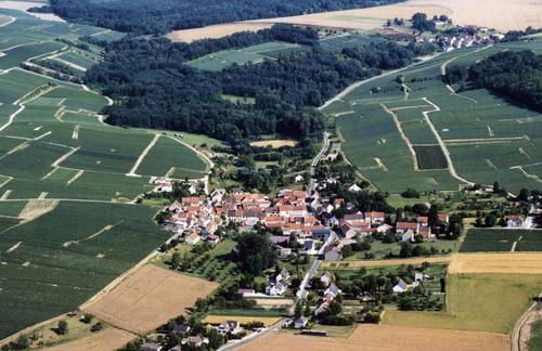 Enjoy en Champagne maison calme au milieu du vignoble avec parking gratuit - Foto 32