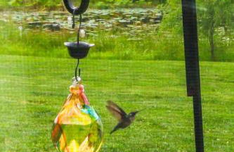 Lily Cove Retreat - Foto 72