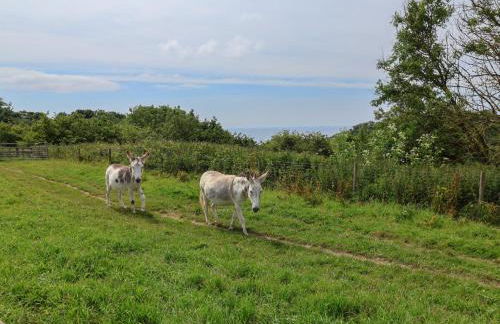 Keepers Cottage - Foto 24