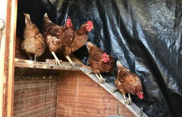 Allotjament Rural Solsona - Photo 34