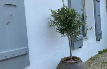 Villa rétaise de charme et de caractère - Foto 53