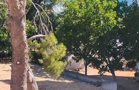 Artemis sea house - Foto 33