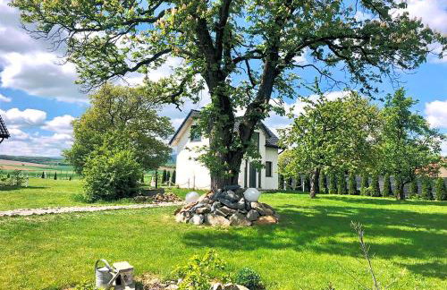 Nuka House - Teatr Natury z Jacuzzi - Foto 11