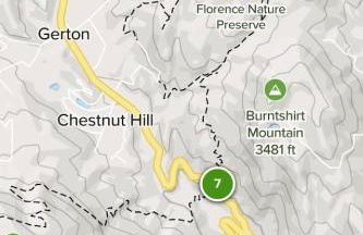 Shiners Hideaway - Cozy Cabin with Trails & Family Memories - Foto 40