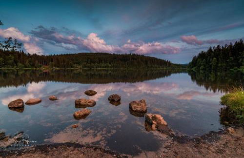 Haus Wiesenquelle - Fewo 10 "Uff'm Berg", Feldberg - Foto 25