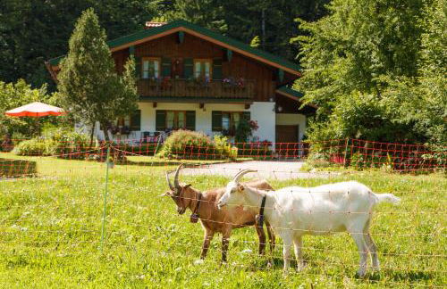 Ferienwohnung Hinterreiter inkl. Chiemgaukarte - Foto 6