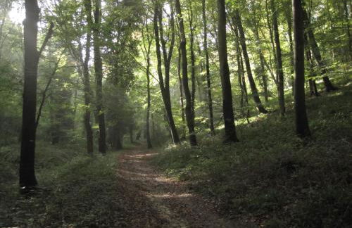 Traditional fisherman cottage - Foto 18