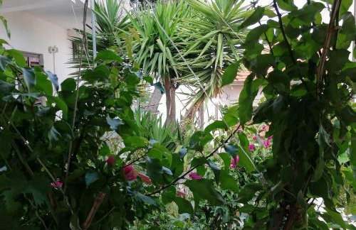 Apartments Misini Dvori - Foto 48