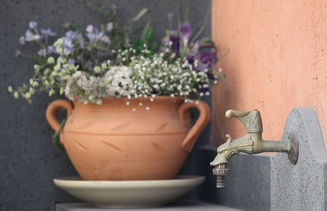 The Garden in the City Center - Foto 25