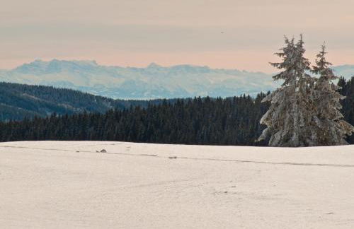 Landhotel und Apartments Sonneck - Photo 50