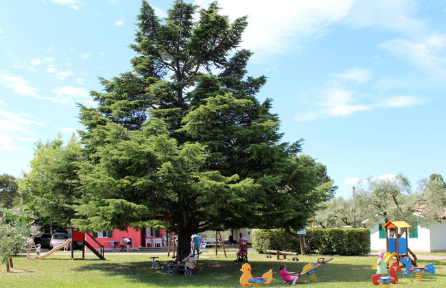 Cisano & San Vito - Foto 27