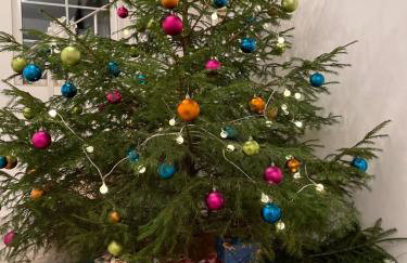 Noclegi Faryny - Foto 6