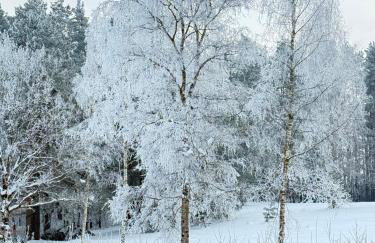 Warmia Domek Bukowy - Foto 44