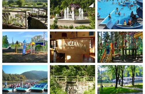 Domki na Polach Piwniczna-Zdrój - Foto 69