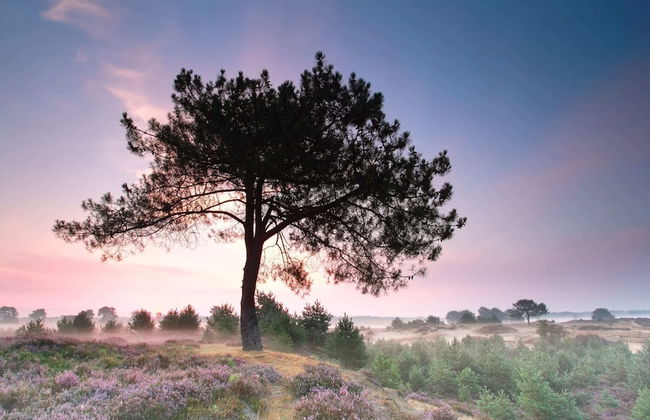 Single-storey House With Garden, in a Natural Area - Photo 20