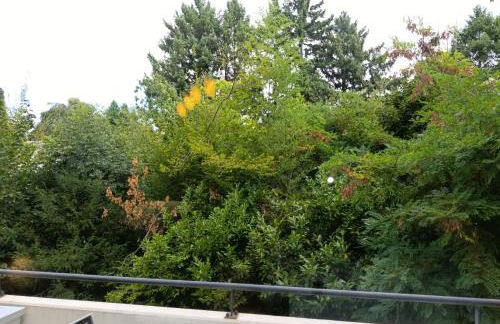 Locations Vacances Obernai Studio - Foto 37