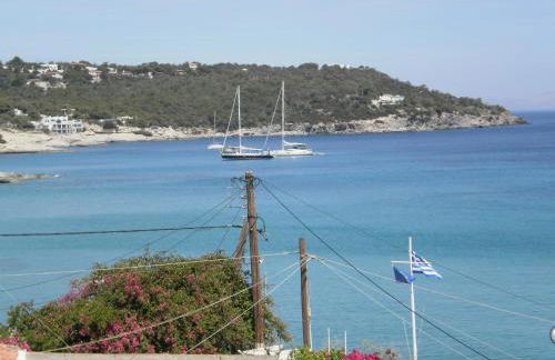 Sunrise Flora - Foto 41