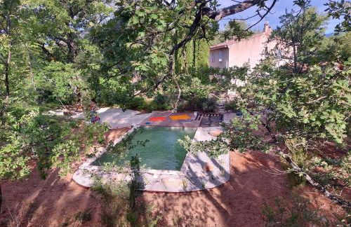 Haus im Naturpark Luberon - Foto 15