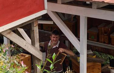 Bee Home - Foto 32
