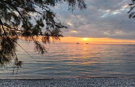 Villa Armonia - Photo 58