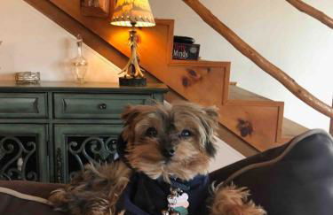 Roscoe Retreat - Foto 25