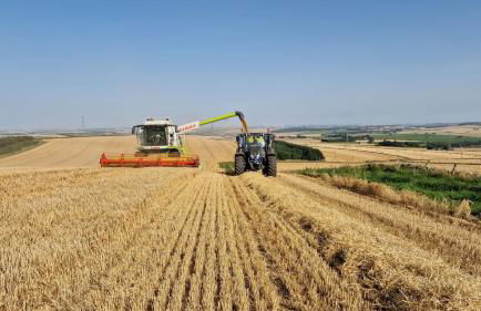 Woodland Lodge - Foto 10