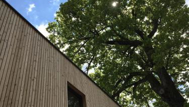 KampenZeit Loft mit traumhaftem Panoramablick - Foto 2