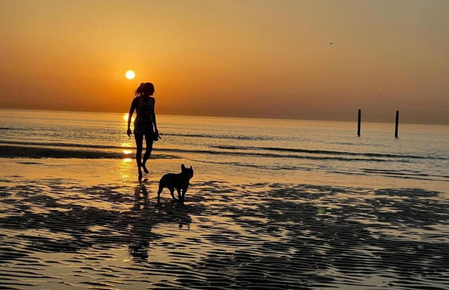 Apartment in Ostend With sea View - Foto 35