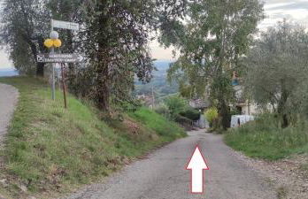 PETTOCANNELLA - Foto 18