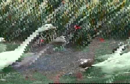 Cabañas La Morada - Foto 65