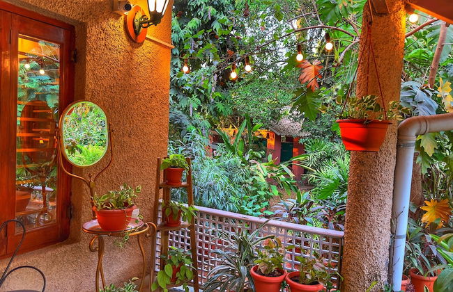 Peace Lily Cottage - Photo 43