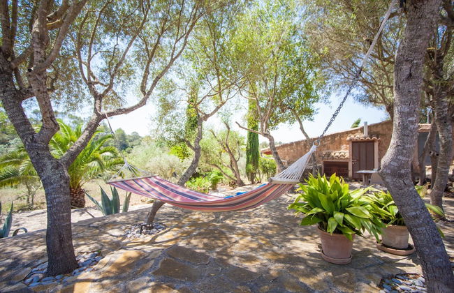 Can Pina - Adults Only Eco Groc - Photo 14