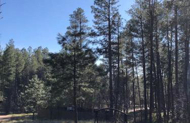 Forest Cabin 3 Bear's Den - Photo 22