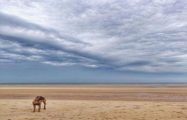 Seaside Stay w/ Large Terrace - Photo 31