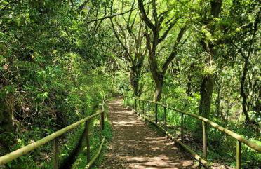 Casa da Capelinha - Foto 40