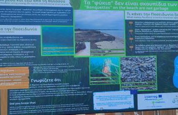 Maria's home - Foto 51