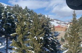 Montaria Suite - Photo 18