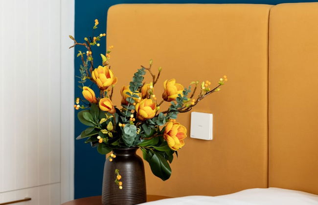 Luna Sol - Sunset & Firework Signature - Foto 72