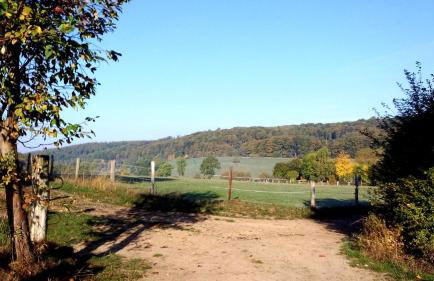 Ferienwohnung Das Fuchsrevier - Foto 20