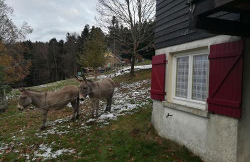 Le chalet de Rothenbuhl - Photo 25
