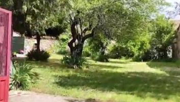 La Perseverancia - Foto 5, Garden