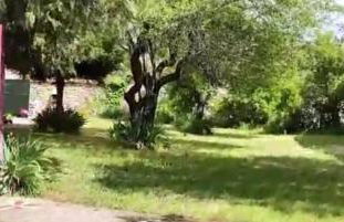 La Perseverancia - Foto 5