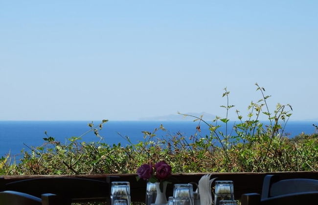 Ktima Nikola - Photo 42