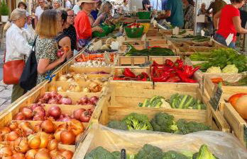 Le Petit Delphia - Photo 34