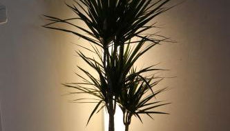 Zur alten Schmiede - Foto 3