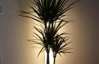 Zur alten Schmiede - Foto 3