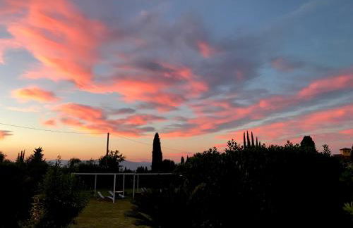 Agriturismo Villani Poderi Nesti & Cupoli - Photo 8