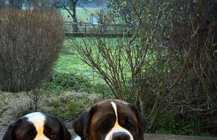 Chez Vovone 3 étoiles clévacances - Foto 3